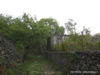 iesa della Misericordia-03-05-2014 17-18-33